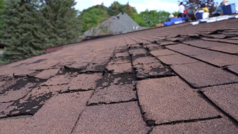 Fast & Reliable Emergency Roof Repairs in Selbyville, DE